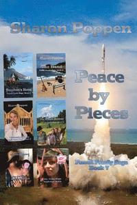 bokomslag Peace by Pieces