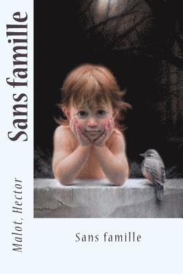 Malot Hector, Sir Angels - Sans famille, Häftad. Tillgänglighet: Lägg i varukorg