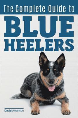 The Complete Guide to Blue Heelers - aka The Australian Cattle Dog. Learn About Breeders, Finding a Puppy, Training, Socialization, Nutrition, Groomin 1