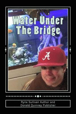 bokomslag Water Under The Bridge: The Shame, The Blame, The Reward