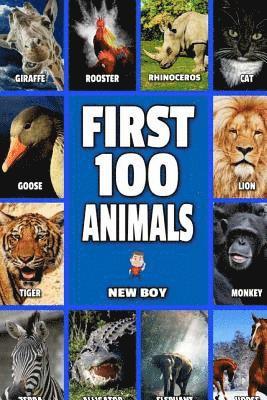 bokomslag First 100 Animals: Full Color Animal Book