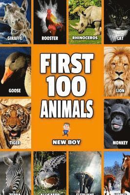 bokomslag First 100 Animals: Full Color Animals Book