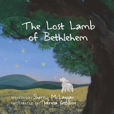 bokomslag The Lost Lamb of Bethlehem