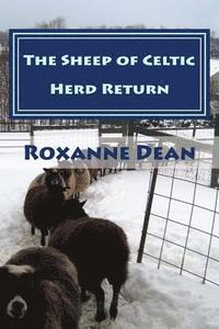 bokomslag The Sheep of Celtic Herd Return: Ewe Are Still Thinking? Aren't Ewe?