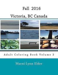 bokomslag Fall Victoria, BC Canada: Adult Coloring Book Volume 3