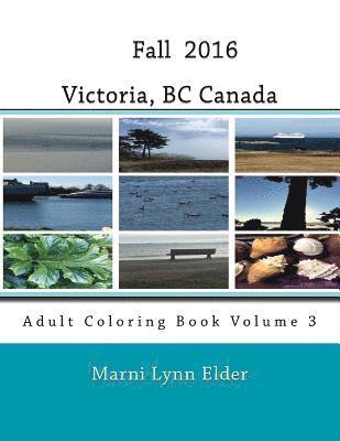Marni Lynn Elder - Fall Victoria, BC Canada: Adult Coloring Book Volume 3, Häftad