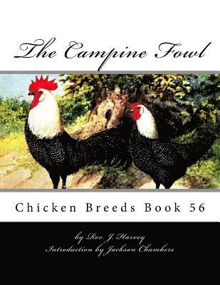 bokomslag The Campine Fowl: Chicken Breeds Book 56