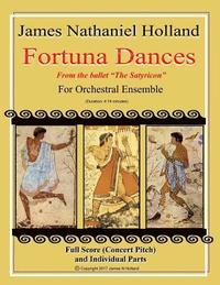 bokomslag Fortuna Dances