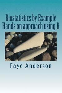 bokomslag Biostatistics by Example: Hands on approach using R