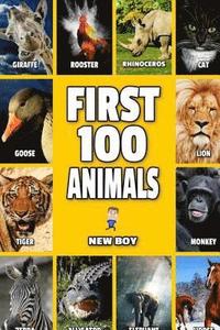 bokomslag First 100 Animals: Full Color Animal Book