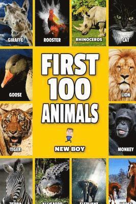 bokomslag First 100 Animals: Full Color Animal Book