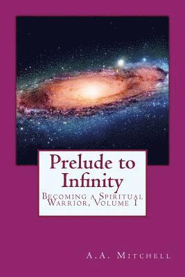 bokomslag Prelude to Infinity