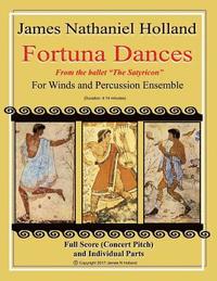 bokomslag Fortuna Dances