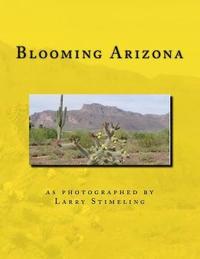 bokomslag Blooming Arizona