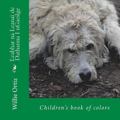 Leabhar na Leanai de Dathanna I nGaeilge: Children's book of colors 1