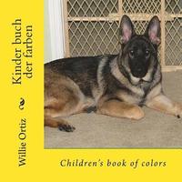 bokomslag Kinder buch der farben: Children's book of colors