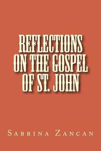 bokomslag Reflections on The Gospel of St. John