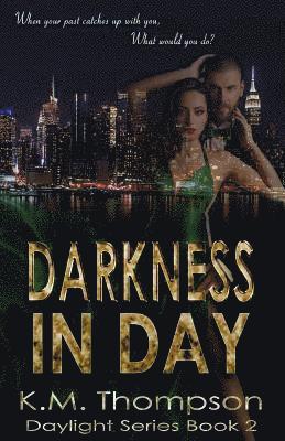 bokomslag Darkness In Day
