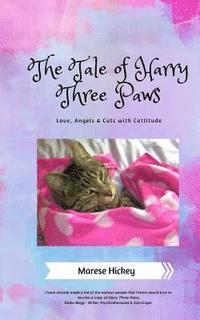 bokomslag Tale of Harry Three Paws