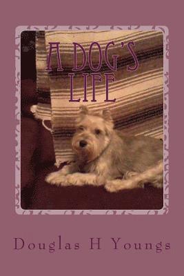 A Dogs LIfe 1