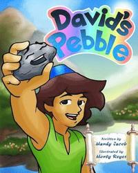 bokomslag David's Pebble