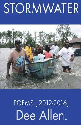 bokomslag Stormwater: Poems [ 2012-2016 ]