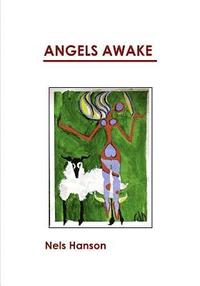 bokomslag Angels Awake