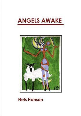 bokomslag Angels Awake