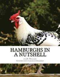 bokomslag Hamburghs in a Nutshell: Chicken Breeds Book 57