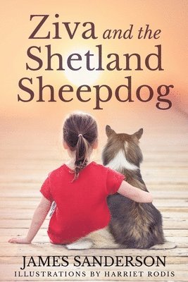 Ziva and the Shetland Sheepdogs 1