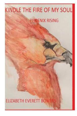 bokomslag Kindle the Fire of My Soul: Phoenix Rising