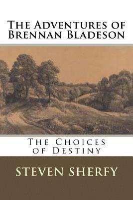 bokomslag The Adventures of Brennan Bladeson: The Choices of Destiny