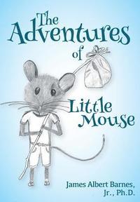 bokomslag Adventures of Little Mouse