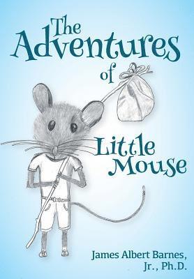 bokomslag Adventures of Little Mouse