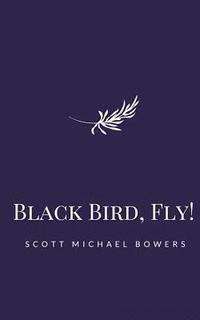 bokomslag Black Bird, Fly!
