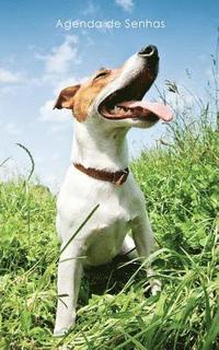 bokomslag Agenda de Senhas: Agenda para endereços eletrônicos e senhas: Capa Jack Russell Terrier - Português (Brasil)
