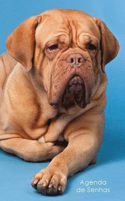 bokomslag Agenda de Senhas: Agenda para endereços eletrônicos e senhas: Capa French Mastiff - Português (Brasil)