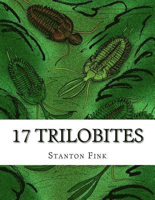 bokomslag 17 Trilobites: Everyone Should Know About