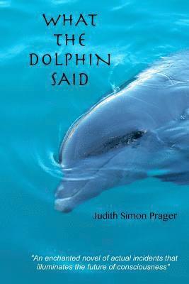 What the Dolphin Said: On the Future of Humankind 1