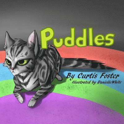 Puddles 1