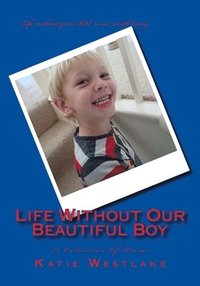 bokomslag Life Without Our Beautiful Boy: A Collection Of Poems