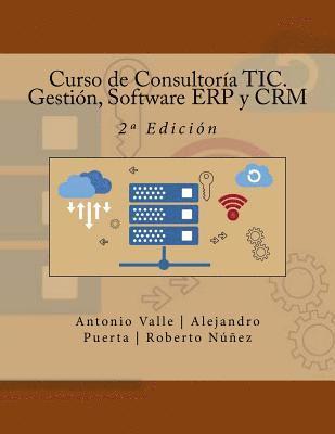 bokomslag Curso de Consultoría TIC. Gestión, Software ERP y CRM: 2a Edición