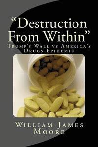 bokomslag "Destruction From Within": Trump's Wall vs America's Drugs-Epidemic