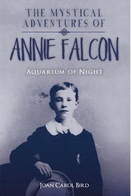 bokomslag The Mystical Adventures of Annie Falcon: Aquarium of Night