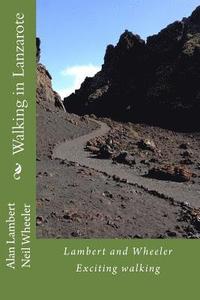 bokomslag Walking in Lanzarote