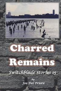 bokomslag Charred Remains: Switchblade Stories 15