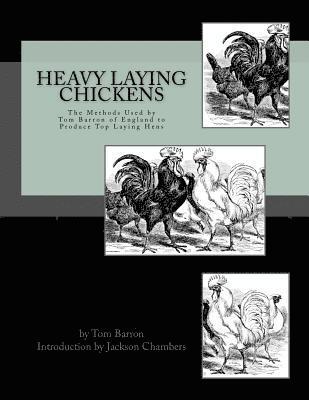 bokomslag Heavy Laying Chickens: The Methods Used by Tom Barron of England to Produce Top Laying Hens