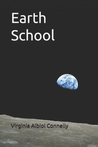 bokomslag Earth School
