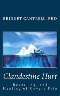 bokomslag Clandestine Hurt: The Revealing and Healing of Covert Pain