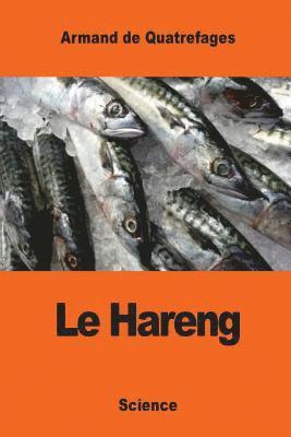 Le Hareng 1